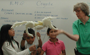 Coyote Kids